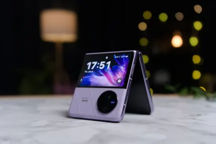 Casino Jungle Raja Mobil App